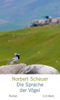 Scheuer