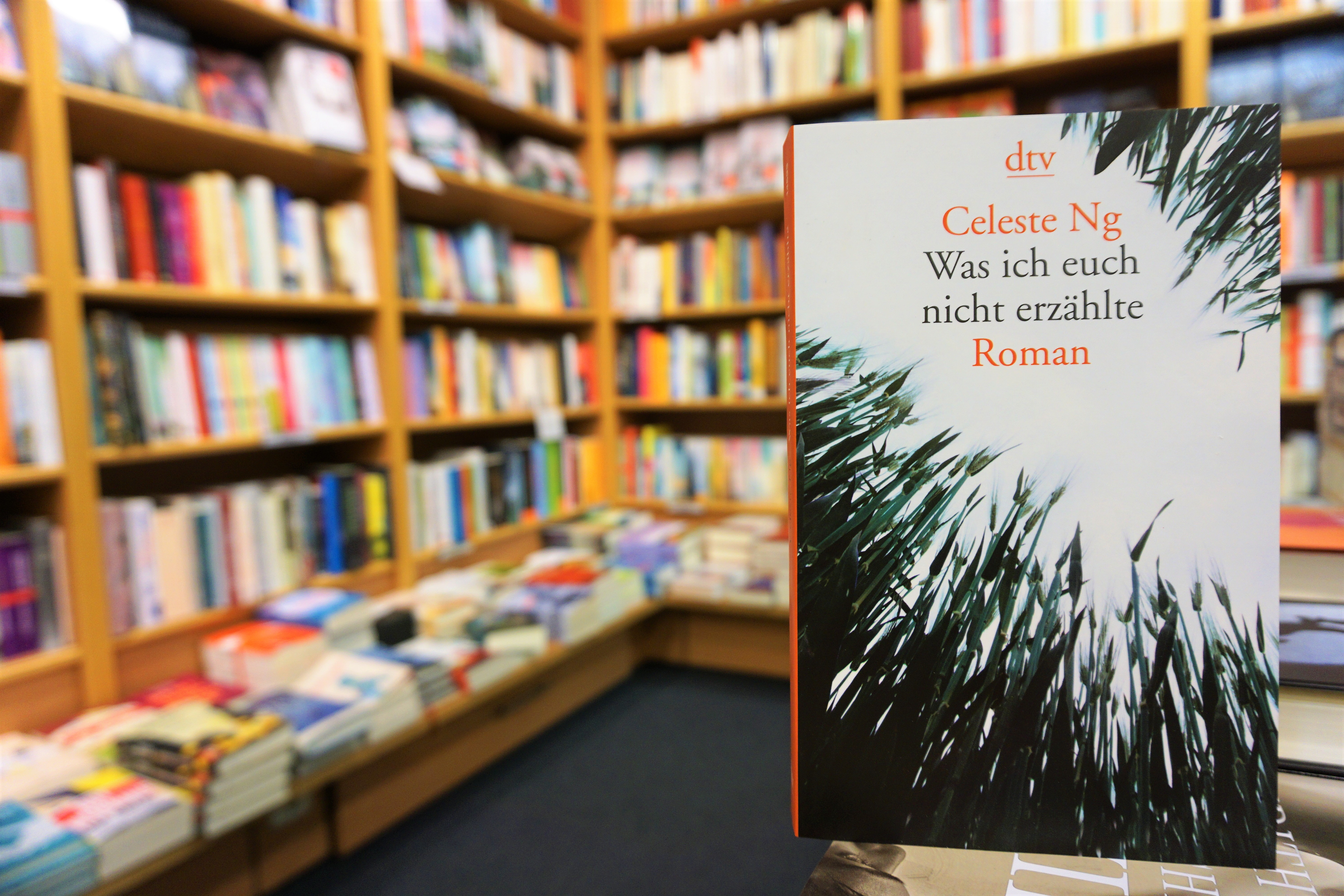 Rezension Celeste Ng 