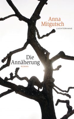 Die Annaeherung von Anna Mitgutsch