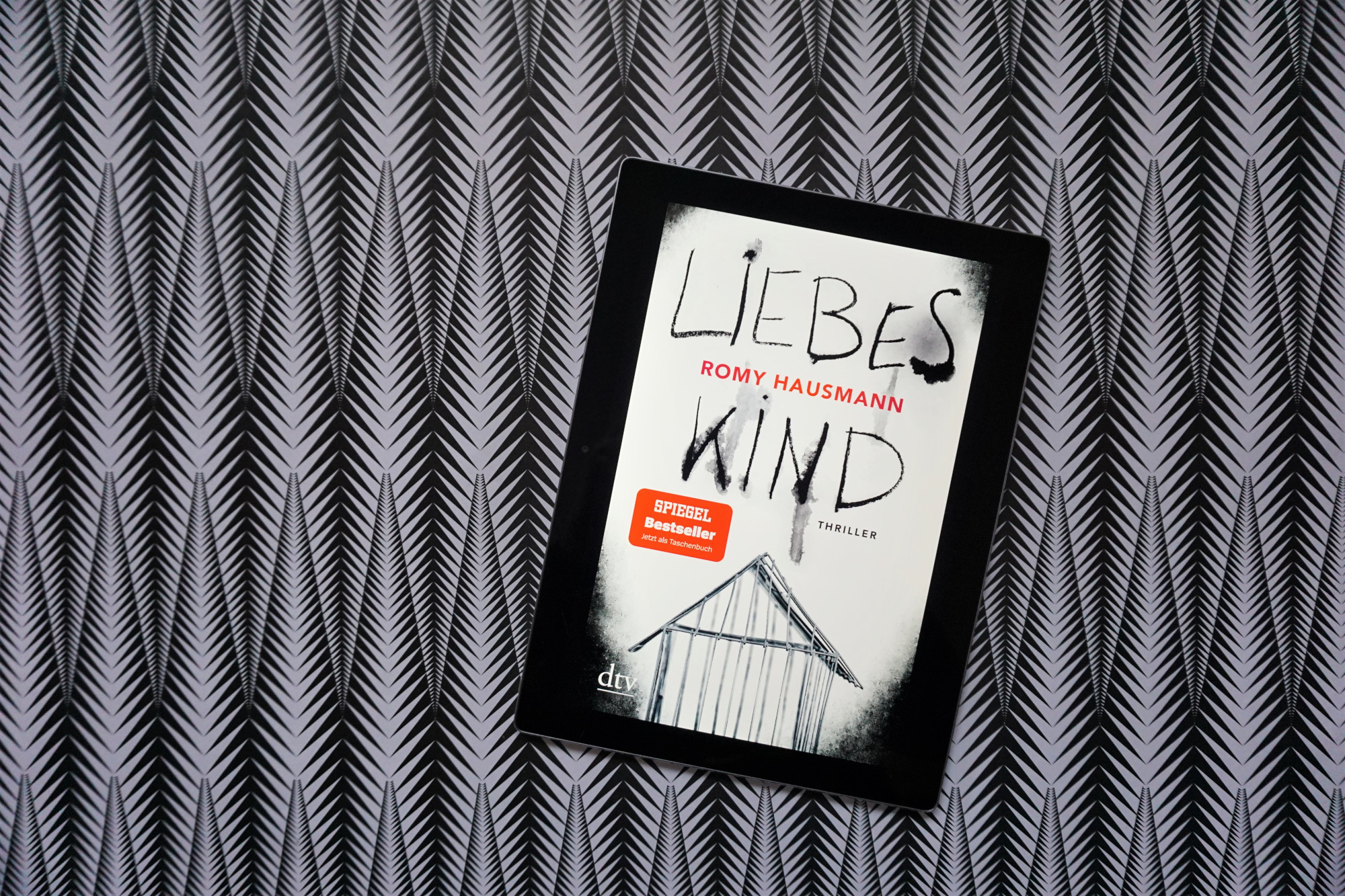 Rezension Romy Hausmann Liebes Kind