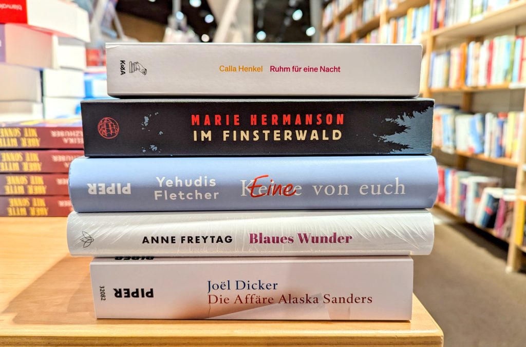 Monatsrückblick Nr. 6  // 2025